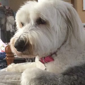 Meet your Posher, Andrea